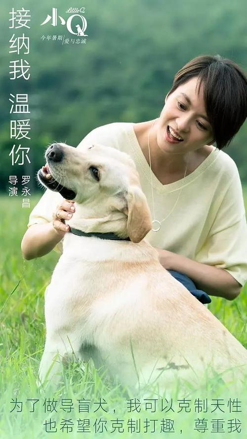 购买美国身份证KYC认证资料